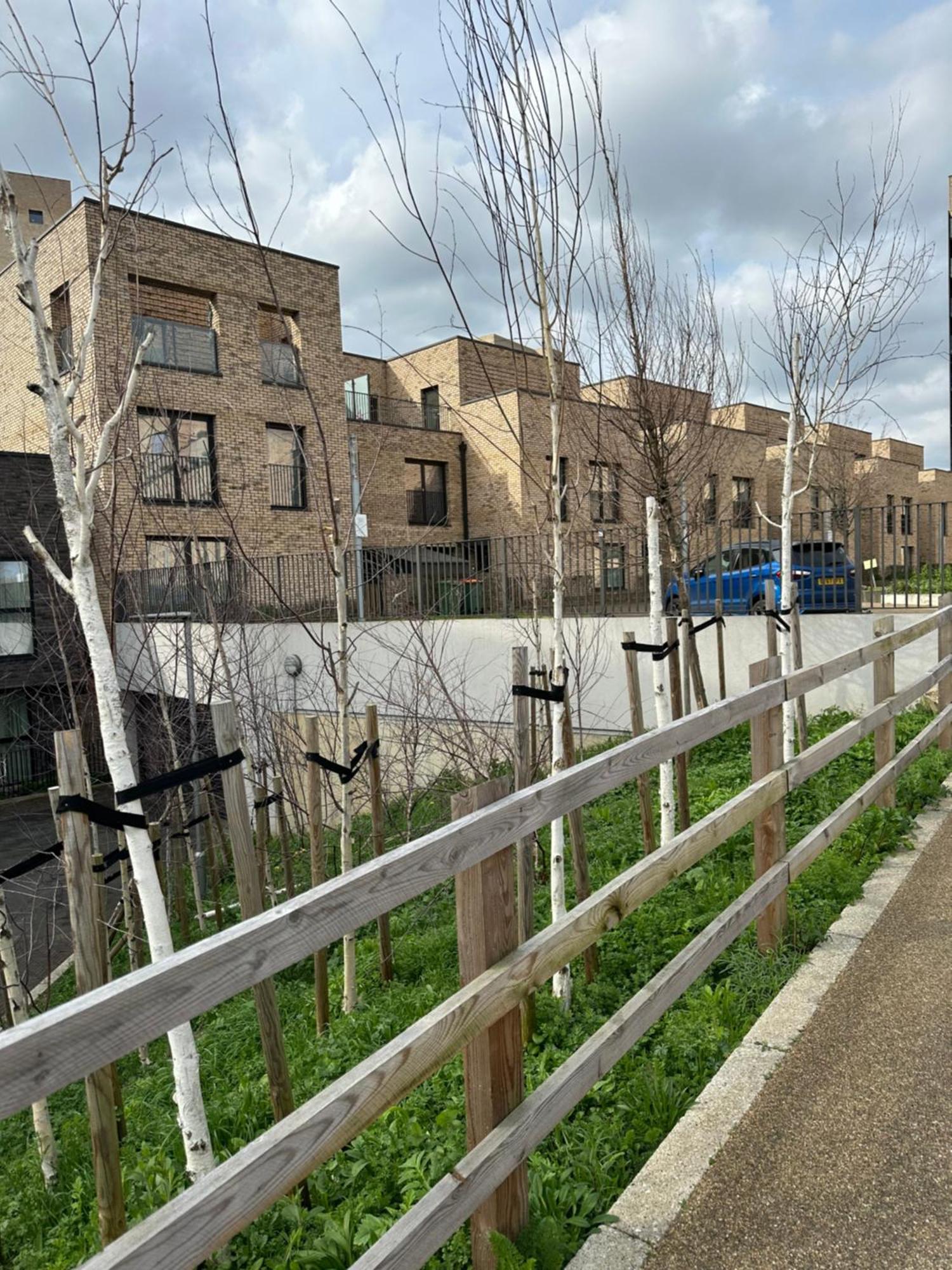 Luxury 3 Bedroom Flat In Stratford, ลอนดอน ภายนอก รูปภาพ